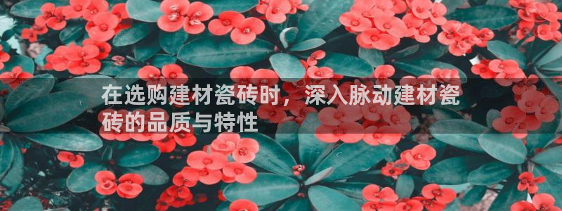 杏鑫平台注册登录