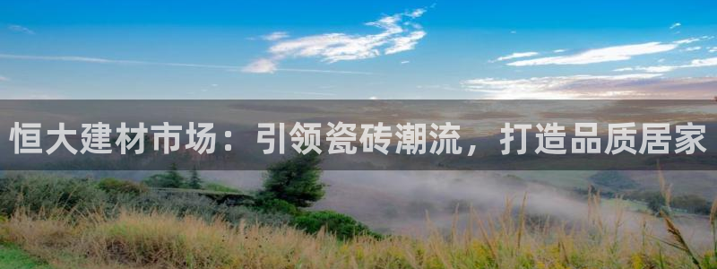 杏鑫平台代理注册流程视频