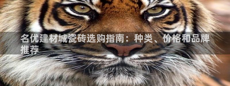 杏鑫平台代理注册多少钱一年