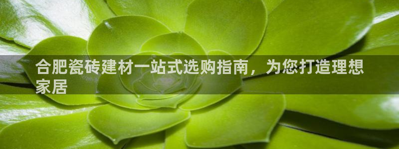 杏鑫娱乐官方网站客户端