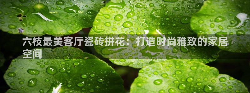 杏鑫平台代理怎么做