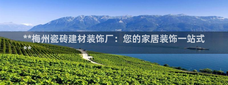 杏鑫招商总代