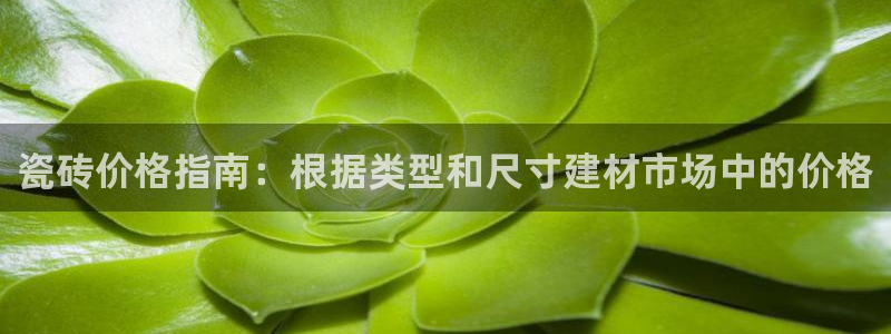 杏鑫平台怎么样知乎