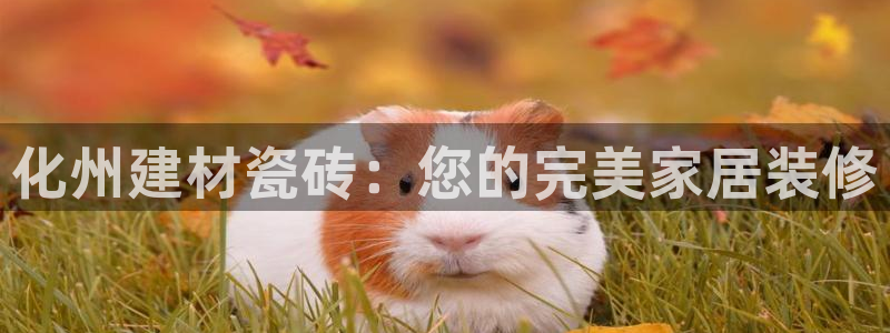 杏鑫平台登陆