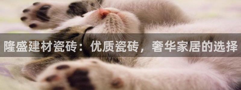 杏鑫娱乐是合法的吗?