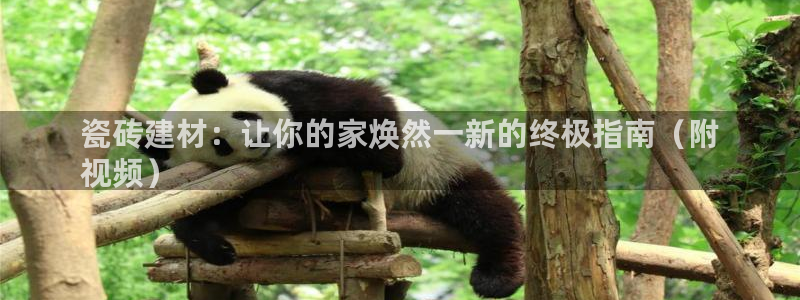 杏鑫娱乐是合法的吗?