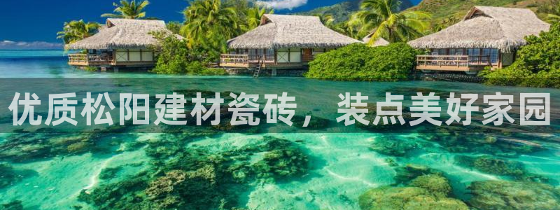 杏鑫平台登录地址查询