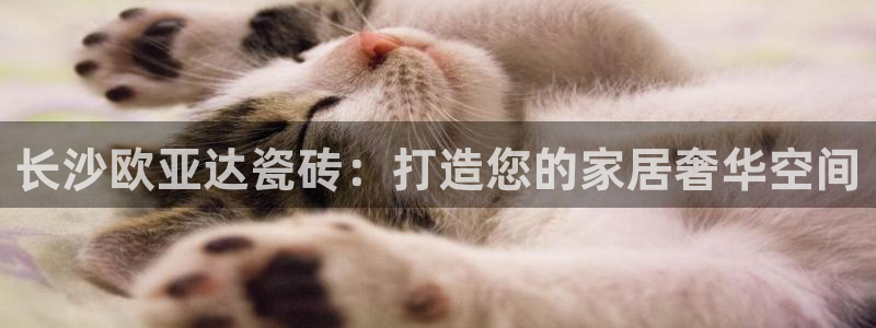 杏鑫平台正规吗可信吗