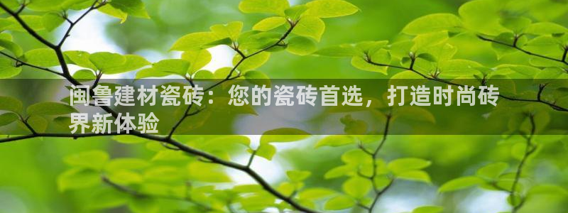 杏鑫平台怎么样