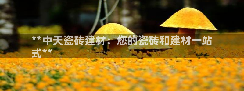 杏鑫代理注册资金多少