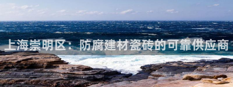 杏鑫3主管