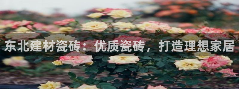 杏鑫平台注册入口在哪