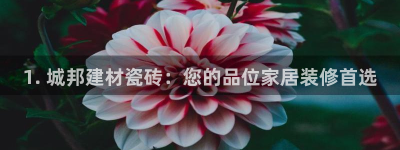 杏鑫平台代理怎么做的