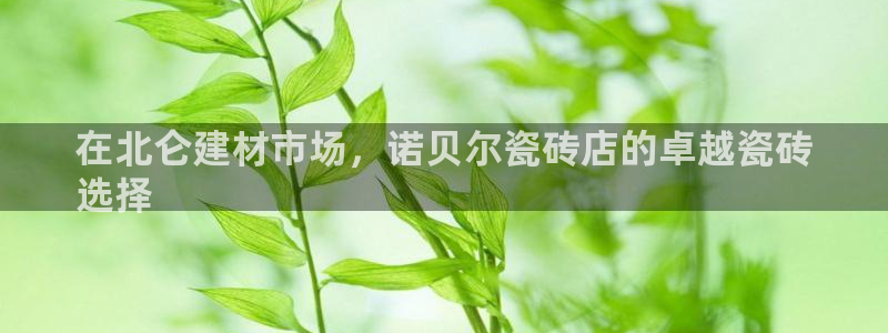 杏鑫平台注册地址在哪里