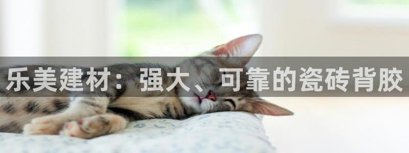 杏鑫平台登录地址