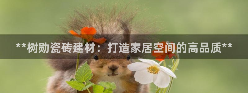 杏鑫平台代理注册要钱吗