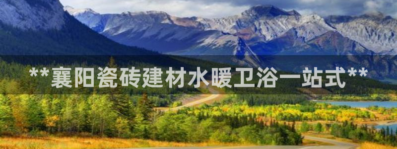 杏鑫官网注册账号是什么样的