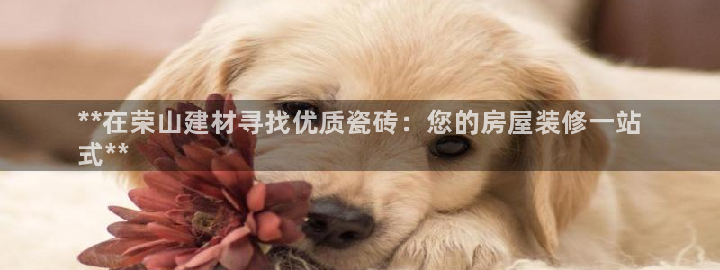 杏鑫平台注册网址是什么