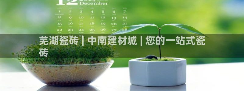 杏鑫注册登录代理