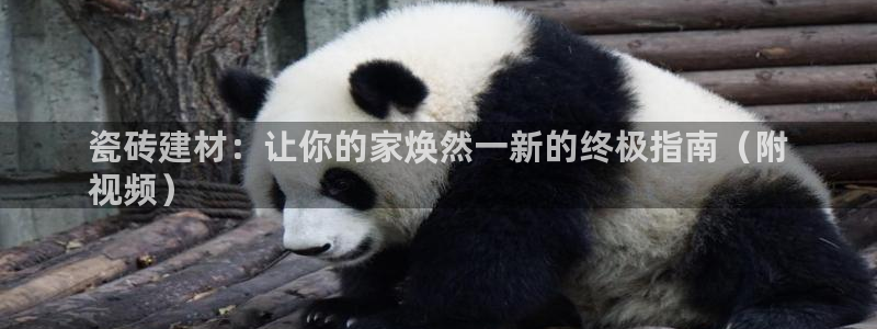 杏鑫平台是黑平台吗