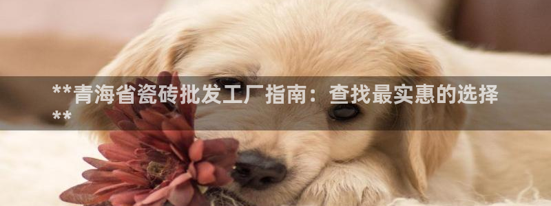 杏鑫娱乐平台登录注册网站