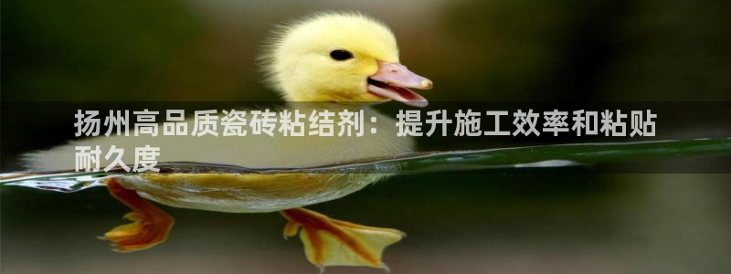 杏鑫平台代理注册多少钱