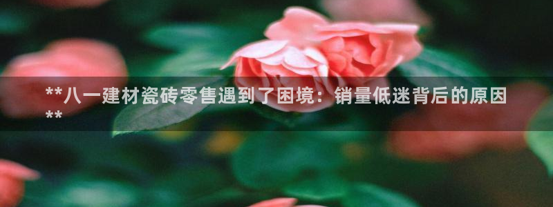 杏鑫平台注册网址查询