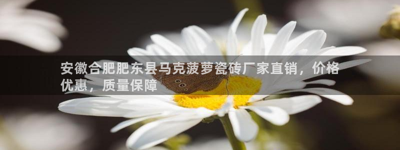 杏鑫娱乐官网登录不了