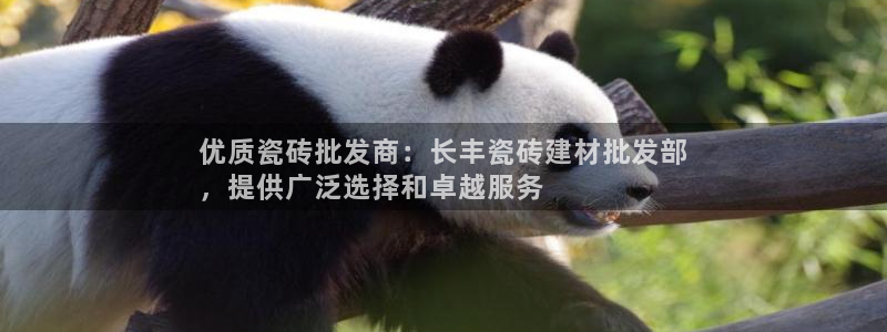 杏鑫注册登录代理