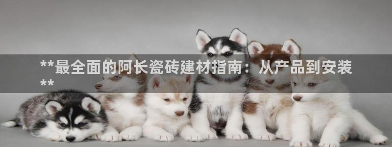 杏鑫官网注册账号密码