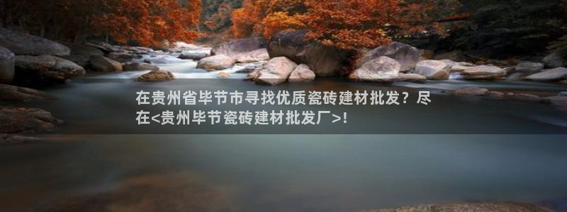 杏鑫平台代理注册流程及费用