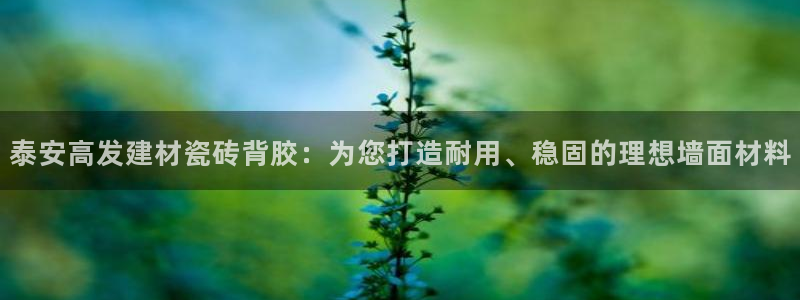 杏鑫平台测速怎么样