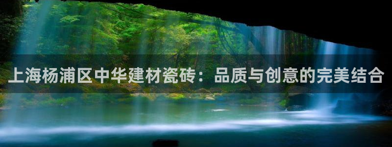 杏鑫主管