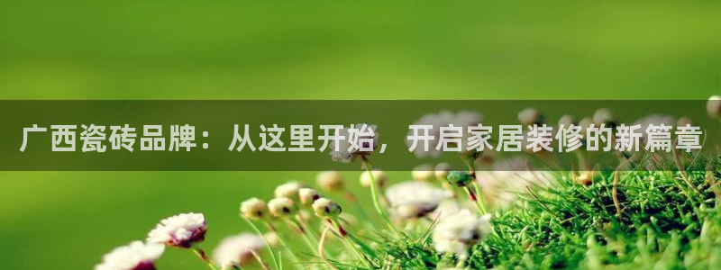 杏鑫娱乐开发团队