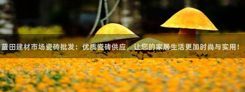 杏鑫平台代理怎么做的