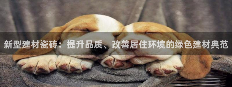 杏鑫平台代理怎么样