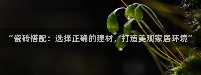 杏鑫娱乐怎么下