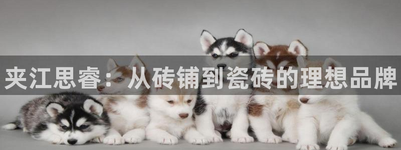 杏鑫平台怎么样黑钱吗安全吗可靠吗