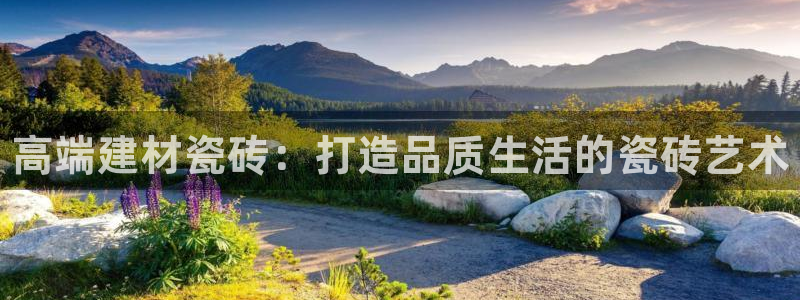 杏鑫手机客户端