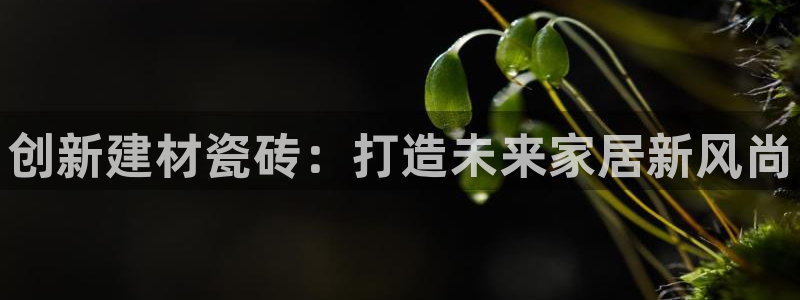 杏鑫平台线路测速