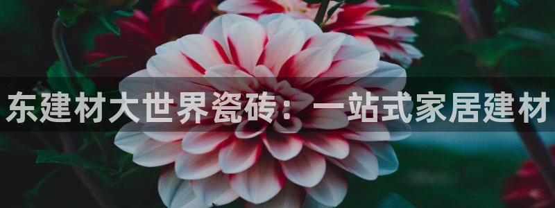 杏鑫平台登录地址查询