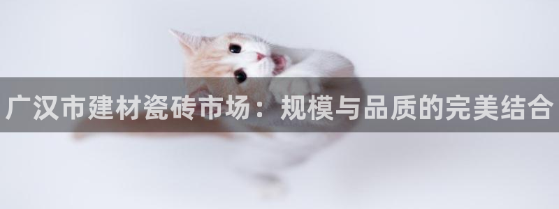 杏鑫平台代理怎么做赚钱