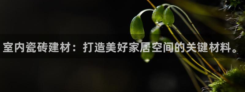 杏鑫注册平台官方网站入口