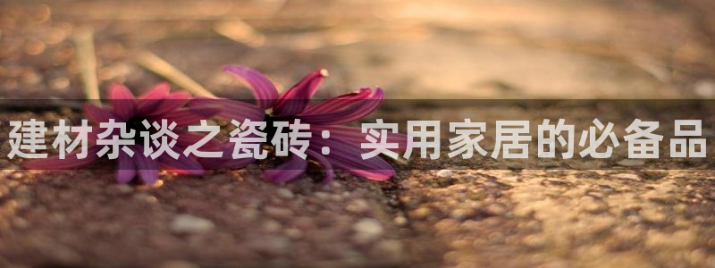 杏鑫平台怎么样知乎