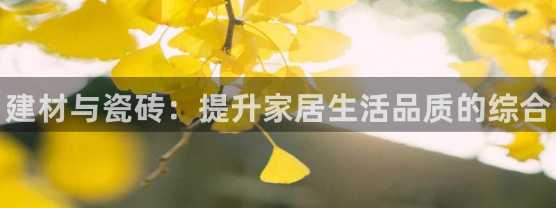 杏鑫平台注册登录