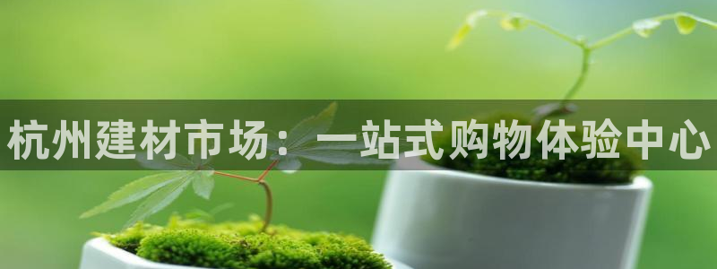 杏鑫平台代理怎么做赚钱