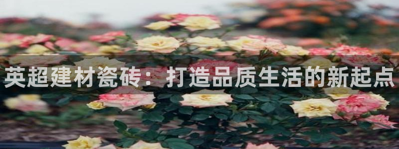 杏鑫娱乐官网登录