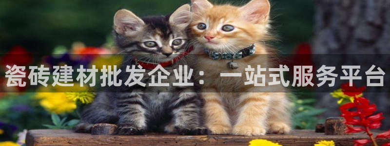 杏鑫注册登录地址